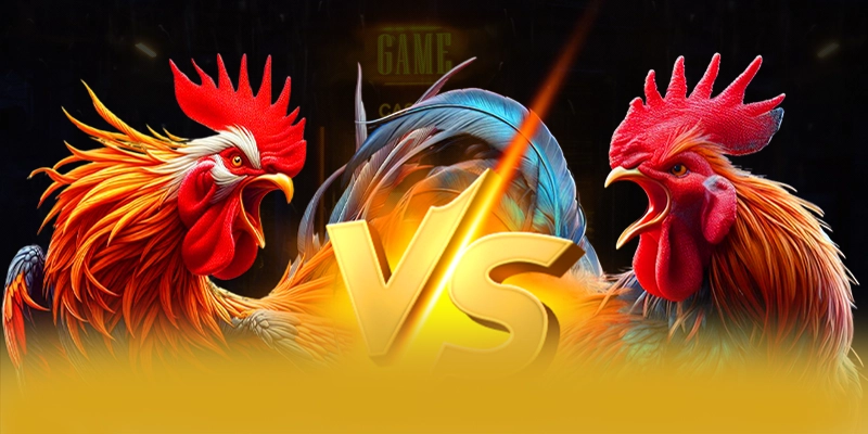 Độ tin cậy thông tin người dùng tại BET168