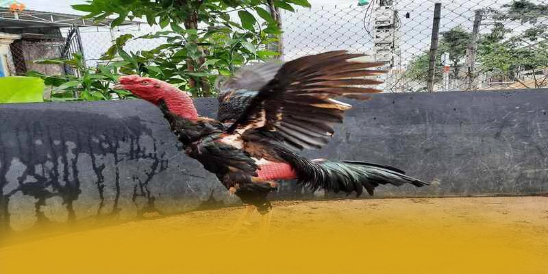 BET168 - Sảnh game ổn định hiện nay
